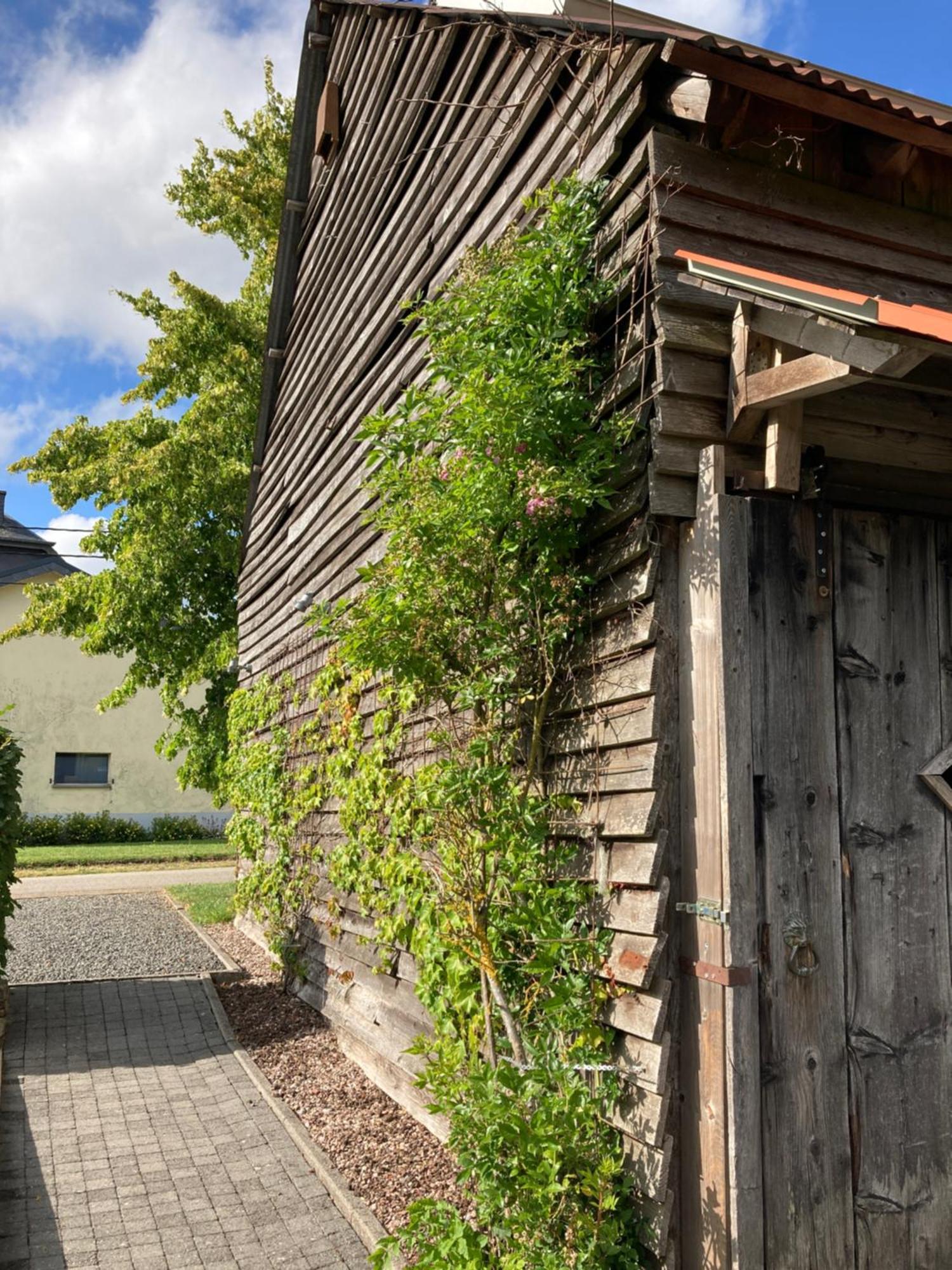 Paulis Cozy 4-Bedroom Vacation Home - With 4 Bathrooms Sun Terrace & Sauna, Nice To Hike & Bike, To Chil & Meet Bullange Extérieur photo