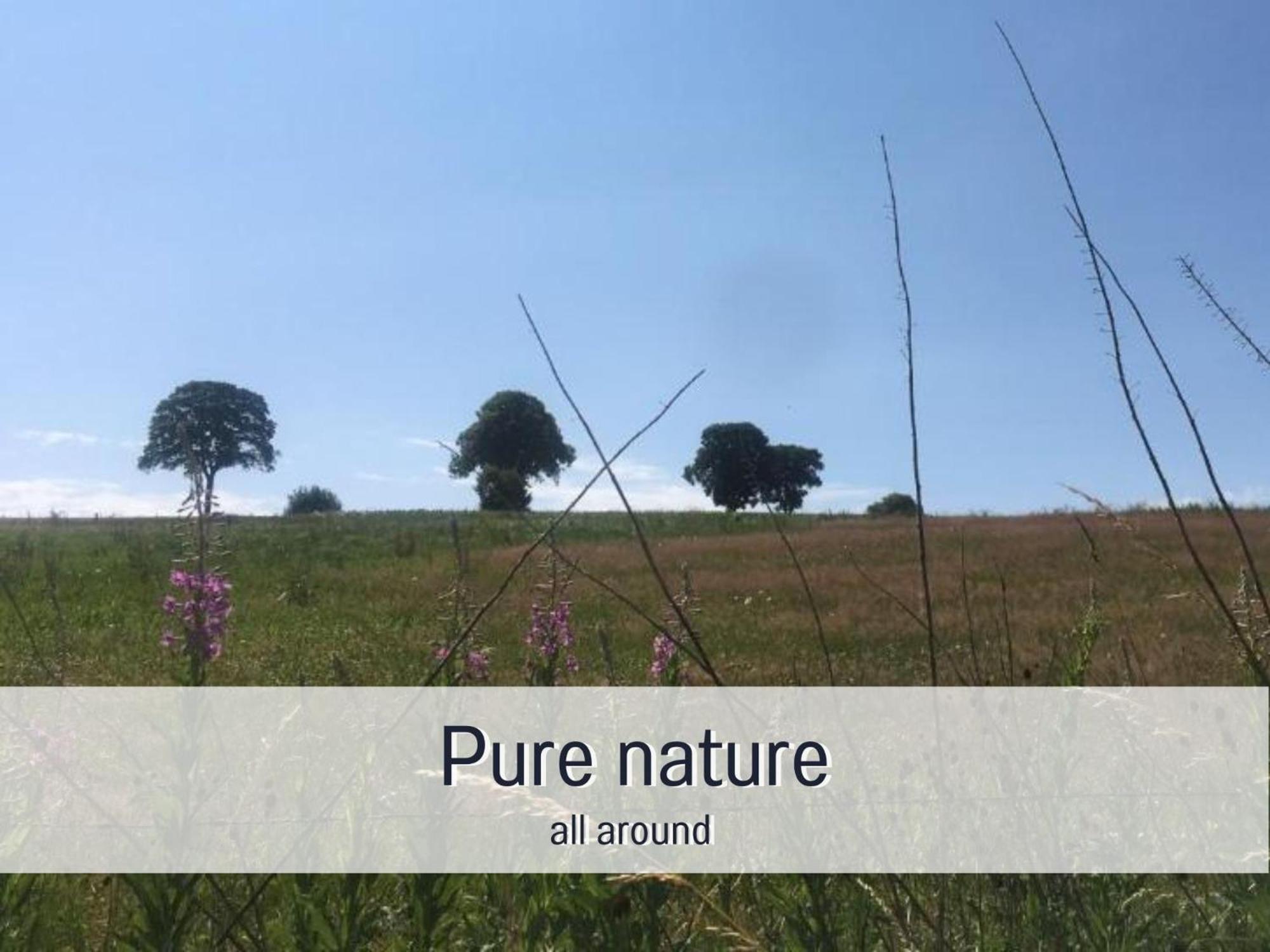 Paulis Cozy 4-Bedroom Vacation Home - With 4 Bathrooms Sun Terrace & Sauna, Nice To Hike & Bike, To Chil & Meet Bullange Extérieur photo